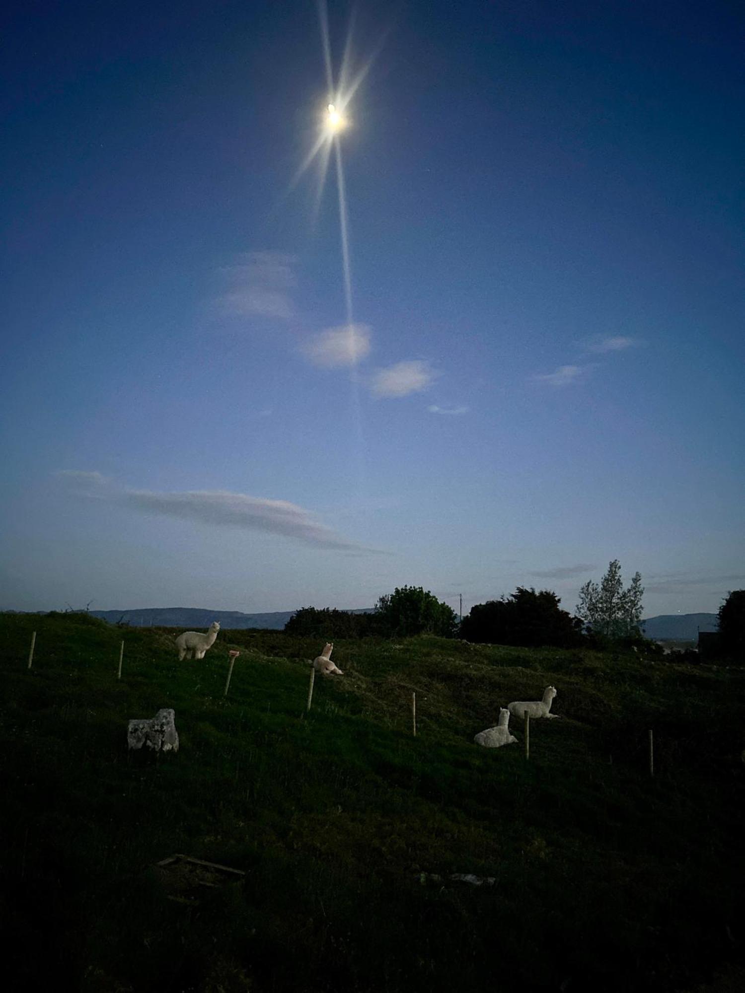The Creevy Cabin Ballure Buitenkant foto